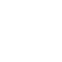 ico_tenencia_irresponsable.png