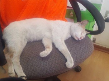 img-20181121-wa0005