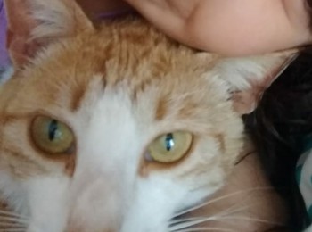 img-20190107-wa0002