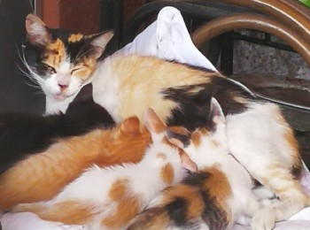 img20181026092712